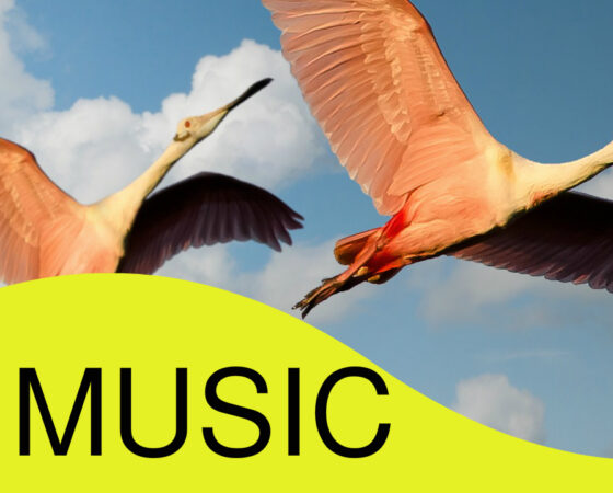Relaxing Work Music